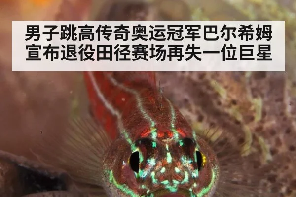 男子跳高传奇奥运冠军巴尔希姆宣布退役田径赛场再失一位巨星